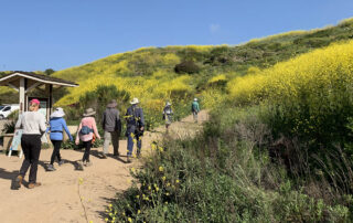 Hikers in the Laguna Open Space